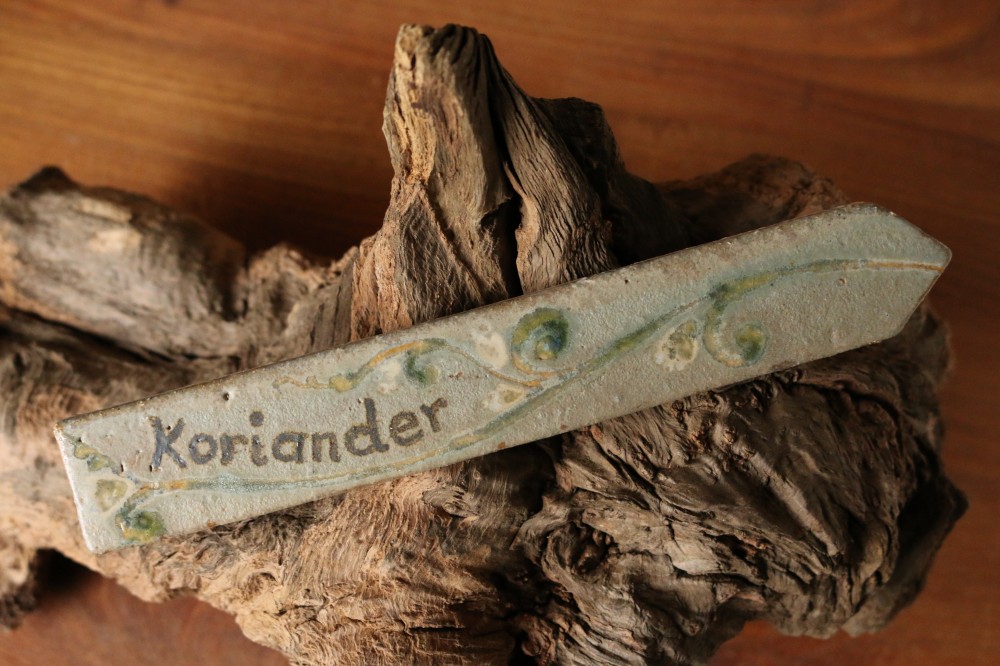 Kraeuterstecker Koriander